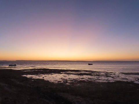 PACEYS PLACE - Surfers Gold Coast 0