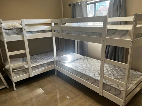 Palm Hamilton Backpacker - Surfers Gold Coast 3