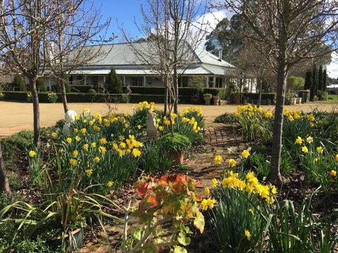 Petschel House - Surfers Gold Coast 1