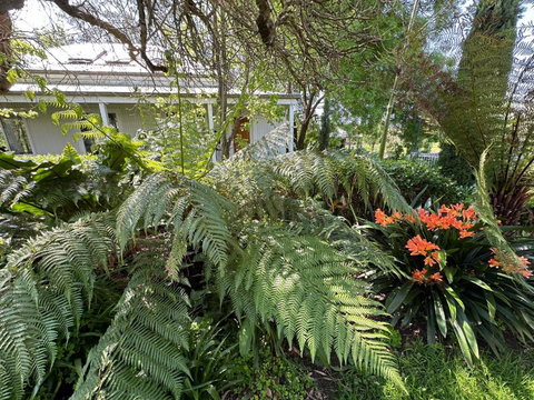 Petschel House - Surfers Gold Coast 3