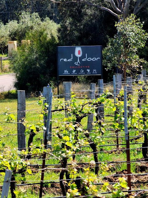 Red Door Collective - RDC Vineyard Estate, Luxury Adult Only Stay - Surfers Gold Coast 1