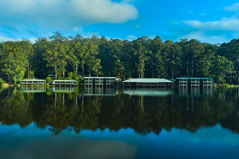 RAC Karri Valley Resort - Surfers Gold Coast 2