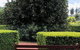 Red Brier Cottage Accommodation - thumb 1