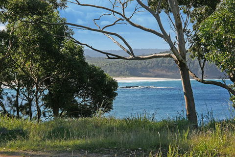 Bannister 49 - Neptune's Way - Surfers Gold Coast 1