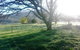 Bay Creek Guest House - thumb 0