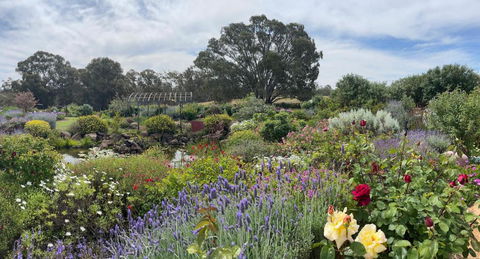 River Gardens Axedale Pet Friendly Farmstay B&B - Surfers Gold Coast 0