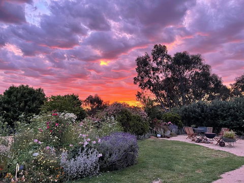 River Gardens Axedale Pet Friendly Farmstay B&B - Surfers Gold Coast 3