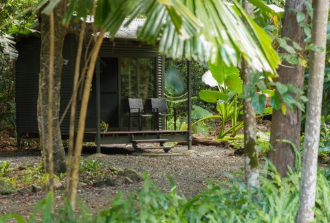 Safari Lodge - Surfers Gold Coast 2