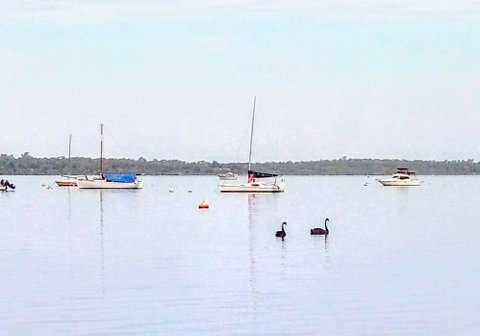 Beautiful, Peaceful Estuary Views, Five Star Quantity - Surfers Gold Coast 3