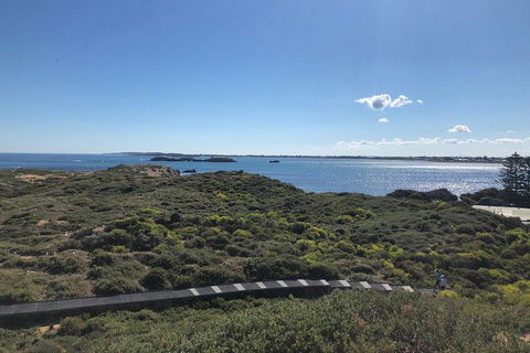 Penguin Island And Fremantle - Canoe, Chocolate & Coffee - Surfers Gold Coast 0