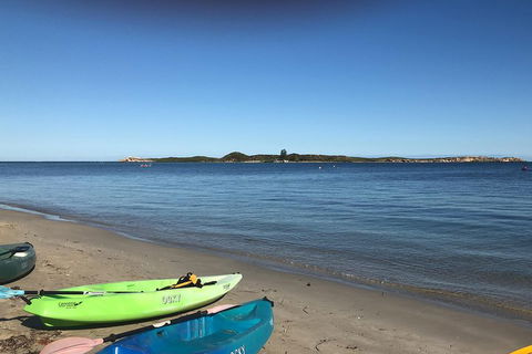 Penguin Island And Fremantle - Canoe, Chocolate & Coffee - Surfers Gold Coast 2