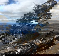 kunanyi / Mt Wellington Explorer Bus - 2 Hour Return Tour - Surfers Gold Coast