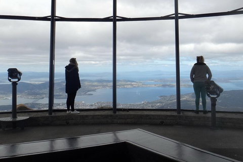 Kunanyi / Mt Wellington Explorer Bus - 2 Hour Return Tour - Surfers Gold Coast 1