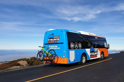 Kunanyi / Mt Wellington Explorer Bus - 2 Hour Return Tour - Surfers Gold Coast 4