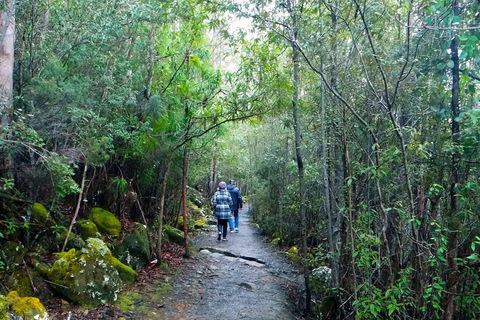Kunanyi/Mt Wellington Tour & Hobart Hop-On Hop-Off Bus - Surfers Gold Coast 1
