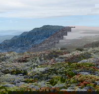 kunanyi/Mt Wellington Explorer Bus - One Way Tour - Surfers Gold Coast
