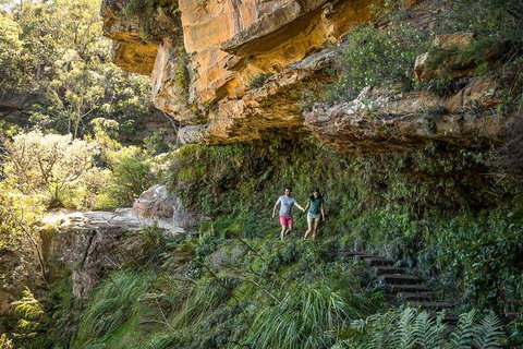 Private Guided: Blue Mountains Hiking & Nature Tour - Surfers Gold Coast 2