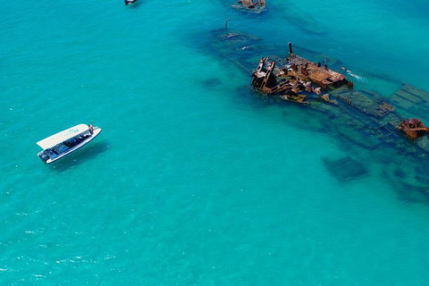 Private Tangalooma Wrecks Tour - Surfers Gold Coast 4