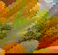 Private Half Day Tour Exclusive World Heritage Rainforest and Waterfall Tour from Cairns - Surfers Gold Coast