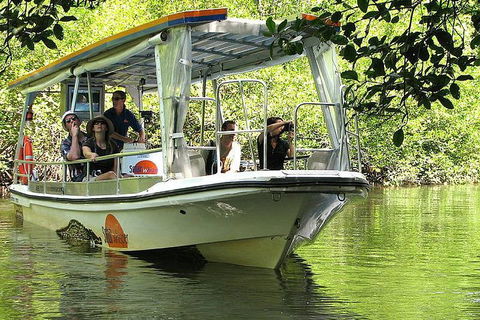 5-Day Best Of Cairns With Daintree, Kuranda, And Great Barrier Reef - Surfers Gold Coast 1