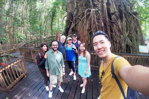 Cairns 4WD Waterfall And Rainforest Tour Including Kuranda Scenic Railway - Surfers Gold Coast 0