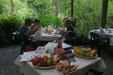 Cairns Reef And Rainforest Combo: Daintree Rainforest And The Great Barrier Reef - Surfers Gold Coast 3