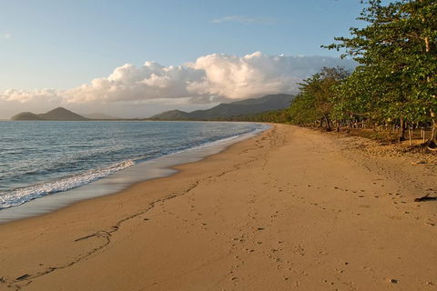 Cairns Reef And Rainforest Combo: Daintree Rainforest And The Great Barrier Reef - Surfers Gold Coast 4
