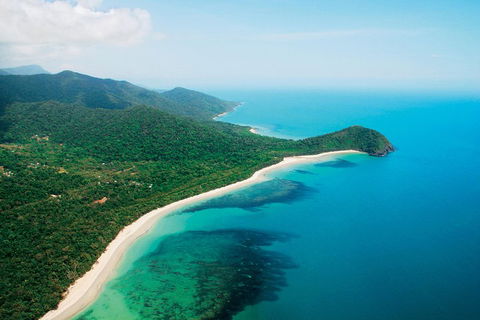 Cape Tribulation, Mossman Gorge, And Daintree Rainforest Premium Day Tour - Surfers Gold Coast 2
