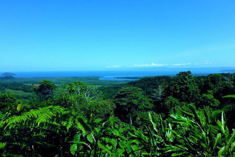 Cape Tribulation, Mossman Gorge, And Daintree Rainforest Premium Day Tour - Surfers Gold Coast 5