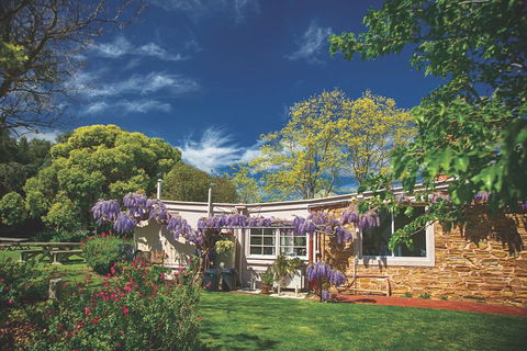 McLaren Vale Winery Small Group Tour With Wine Tasting And Lunch - Surfers Gold Coast 2