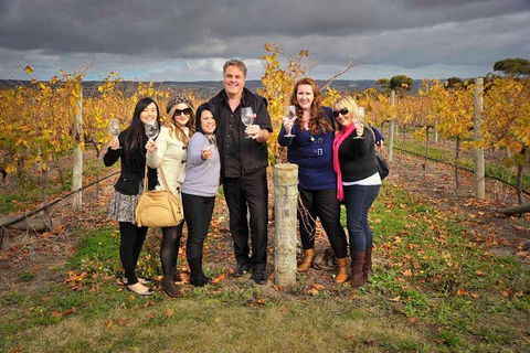 McLaren Vale Winery Small Group Tour With Wine Tasting And Lunch - Surfers Gold Coast 3