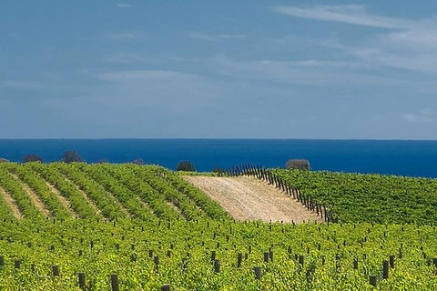 McLaren Vale Winery Small Group Tour With Wine Tasting And Lunch - Surfers Gold Coast 4