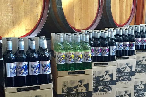Mclaren Vale Luxury Full Day Small Group Wine Tour - Surfers Gold Coast 0