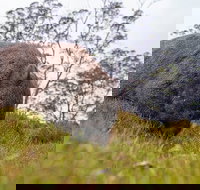 3-Day Cradle Mountain Photography Workshop - Surfers Gold Coast