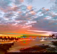 1 Hour Broome Sunset Camel Tour - Surfers Gold Coast