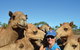 Broome Pre-sunset Camel Tour 30 Minutes - thumb 0