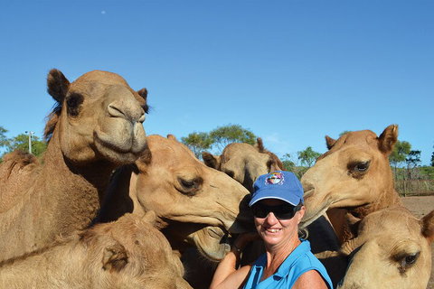 Broome Pre-sunset Camel Tour 30 Minutes - Surfers Gold Coast 0