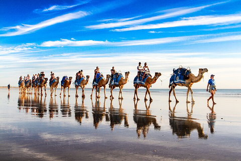 Broome Pre-sunset Camel Tour 30 Minutes - Surfers Gold Coast 2