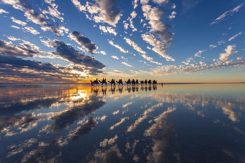 Broome Pre-sunset Camel Tour 30 Minutes - Surfers Gold Coast 4