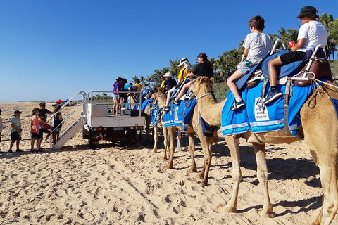 Broome Pre-sunset Camel Tour 30 Minutes - Surfers Gold Coast 5