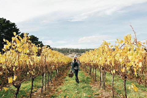 One-Way East Coaster - Surfers Gold Coast 1