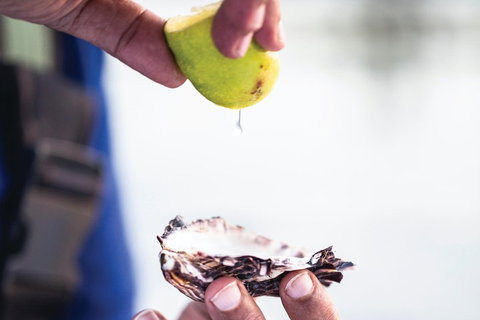 One-Way East Coaster - Surfers Gold Coast 3