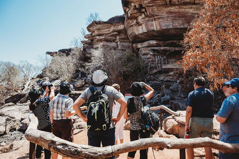 Kakadu Full-Day Tour From Darwin With Lunch - Surfers Gold Coast 1