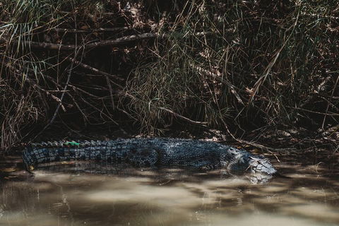 Kakadu Full-Day Tour From Darwin With Lunch - Surfers Gold Coast 4