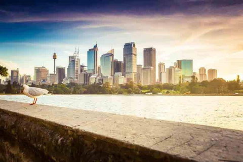 Private Sydney City And Bondi Beach Half Day Tour - Surfers Gold Coast 2