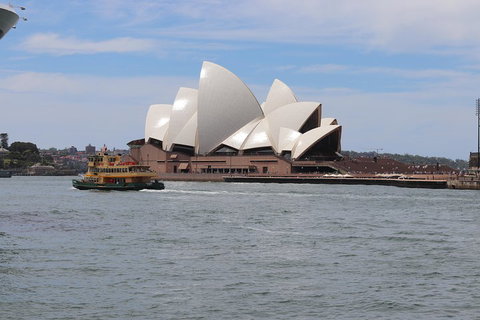Private Sydney City And Bondi Beach Half Day Tour - Surfers Gold Coast 5