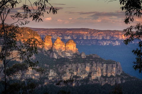 Private Blue Mountains Tour With Kangaroo And Koala Experience - Surfers Gold Coast 1