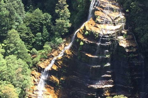 Private Blue Mountains Tour With Kangaroo And Koala Experience - Surfers Gold Coast 5