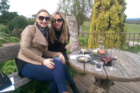 McLaren Vale Intimate Winery Tour By Private Limo - Surfers Gold Coast 4