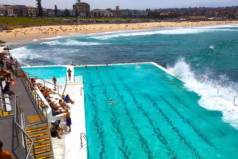 Private Sydney Half Day Tour Including Sydney Opera House And Bondi Beach - Surfers Gold Coast 1